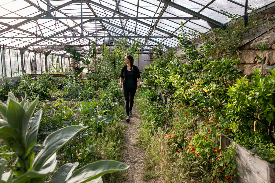 Visite guidée des jardins de Terre & Humanisme - Lablachère