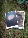 Exposition : 