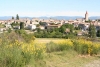 Exposition de sculptures et de peinture - Villeneuve-de-Berg