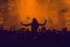 Festival - 