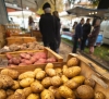 Fête de la patate - Thueyts