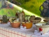 L'Automnal Gourmand - 