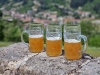 Les Estivales : visite de la brasserie 
