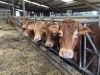 Les Secrets de la Ferme : GAEC de Trapier - Boffres