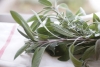 Les Secrets de la Ferme : les Douces Aromatiques - Saint-Sylvestre