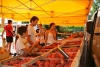 Marché de producteurs - Albon-d'Ardèche