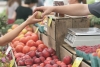 Marché hebdomadaire - Saint-Sylvestre