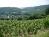 Rando Wine au Domaine Grenier - Saint-Désirat