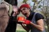 Saison culturelle de Val'Eyrieux : Le Petit Chaperon Rouge - Albon-d'Ardèche