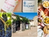 Visite de cave et dégustation des vins bio au Domaine de la Croix Blanche - Saint-Martin-d'Ardèche