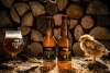 Visite de la brasserie CEVEN'ALE - Rosières