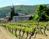 Visite du village et balade viticole à Valvignères - Valvignères