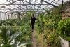 Visite guidée des jardins de Terre & Humanisme - Lablachère