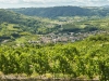 Wine Notes au Domaine Grenier - Champagne