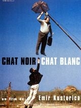 Chat noir, chat blanc
