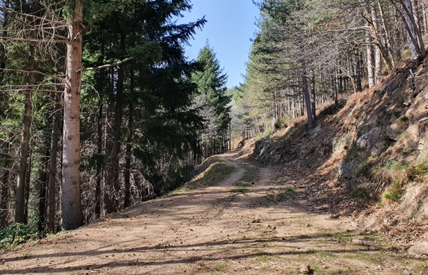 Photo Groupement Forestier de Sainte Marguerite